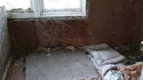 Not so Cocky now - Granny-Cocks-House50.jpg