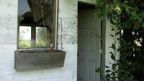 Photo from Not so Cocky now