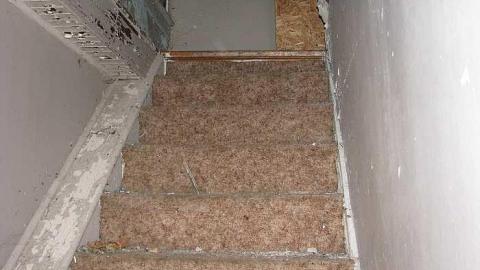 Not so Cocky now - Granny-Cocks-House44.jpg