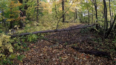 Photo from Property Tour