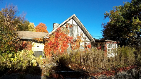 Property Tour - Long-forgotten-beauty129.png