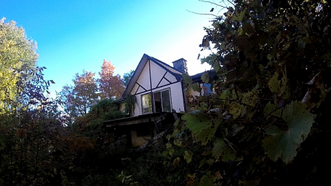 Property Tour - Long-forgotten-beauty125.png