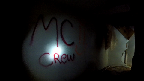 Property Tour - Long-forgotten-beauty117.png