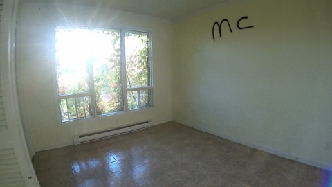 Property Tour - Long-forgotten-beauty124.png