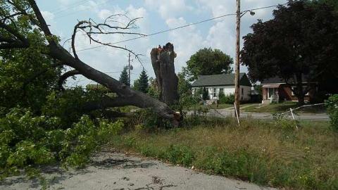 Permacon London photo 3