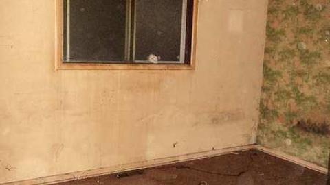 Jesus Pieces - i-DSC03581.jpg