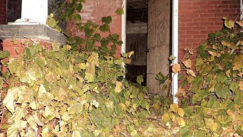 Winston Churchill House #3 - a-DSC03631.jpg