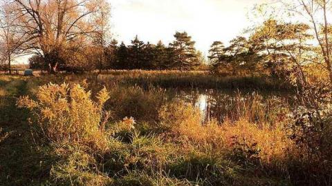 Photo from Canniff Pool House