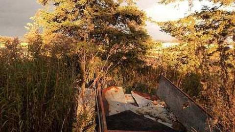 Canniff Pool House - y-DSC03712.jpg