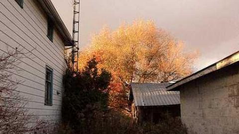 Canniff Pool House - o-DSC03715.jpg