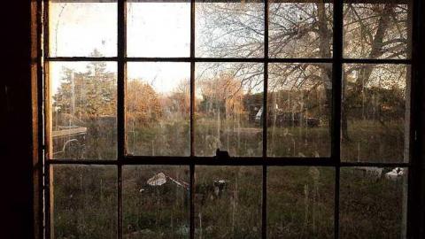 Photo from Canniff Pool House