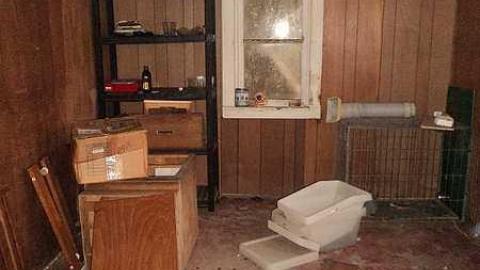 Canniff Pool House - h-DSC03731.jpg