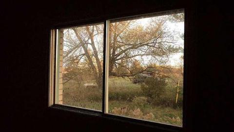 Canniff Pool House - n-DSC03740.jpg