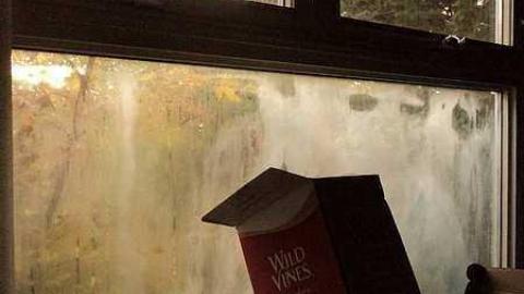 Canniff Pool House - z-DSC03745.jpg