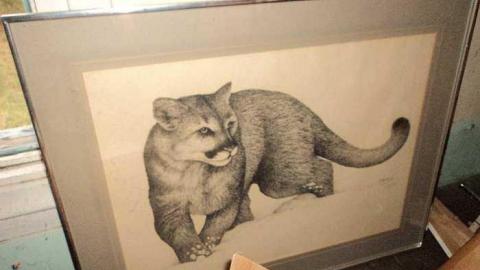 Canniff Pool House - h-DSC03751.jpg