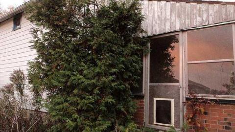 Canniff Pool House - b-DSC03781.jpg