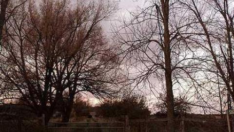 Canniff Pool House - k-DSC03786.jpg