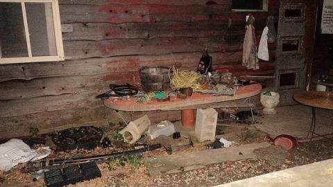 Dried Beans - h-DSC03643.jpg