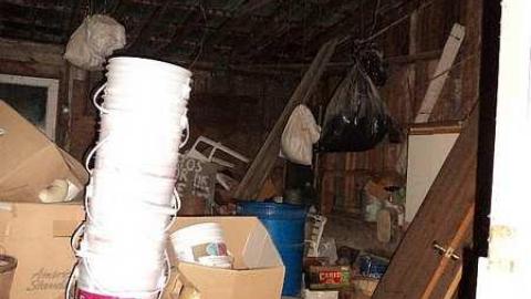 Dried Beans - x-DSC03654.jpg