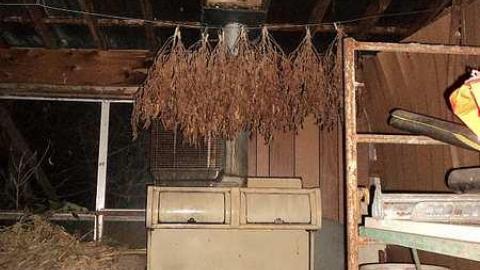 Dried Beans - l-DSC03656.jpg