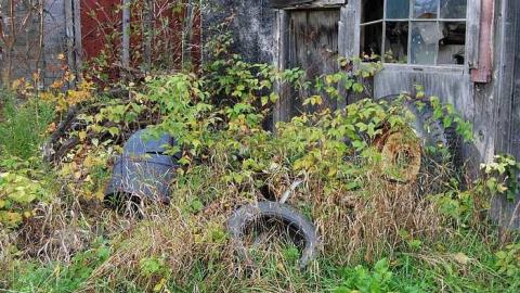 Photo from Grey Ghost Town - Balaclava