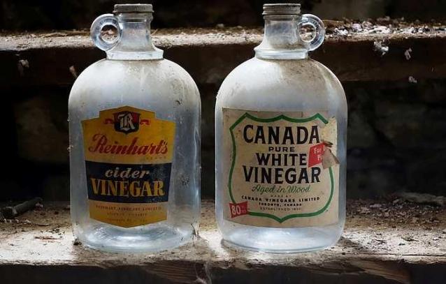 Cooking Up Knowledge - Caledon, Ontario