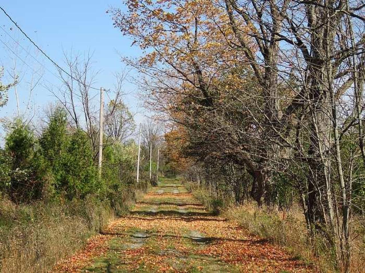 Long Driveway  - r-Jb1.jpg