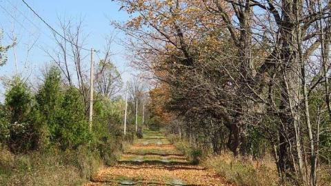 Long Driveway  cover photo