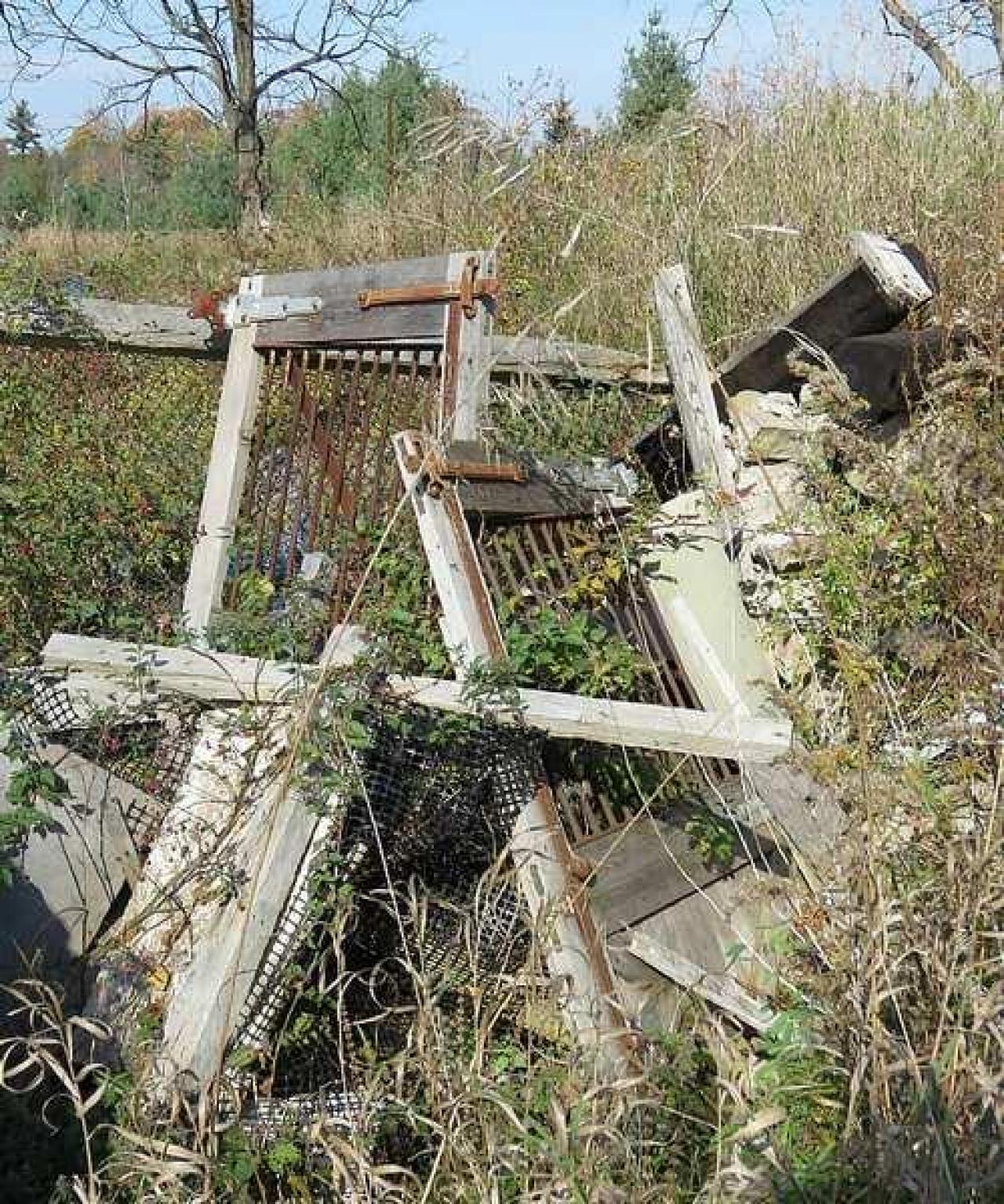 Long Driveway  - l-Jb9.jpg