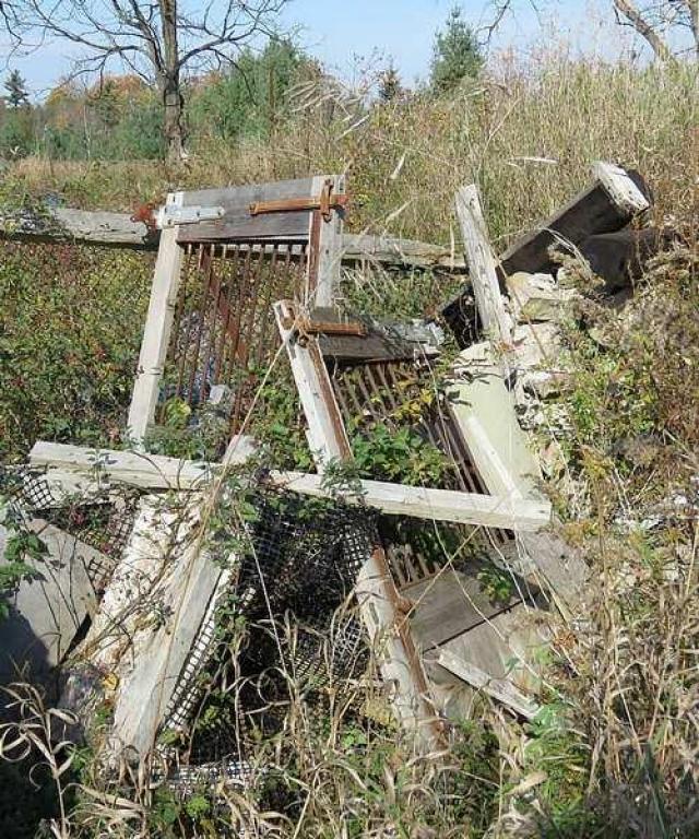 Long Driveway  - l-Jb9.jpg