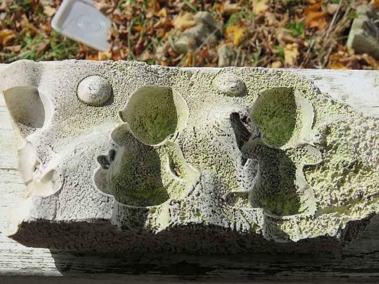 Long Driveway  - a-Jb13.jpg