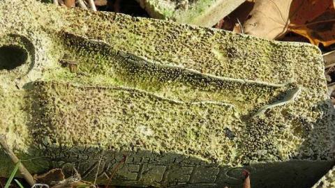 Long Driveway  - h-Jb15.jpg