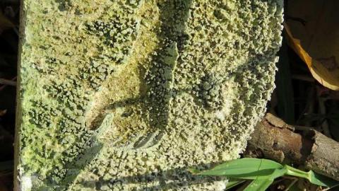 Long Driveway  - p-Jb17.jpg