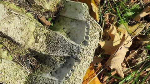 Long Driveway  - z-Jb18.jpg