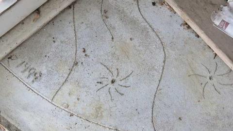 Long Driveway  - r-Jb19.jpg