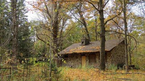 Stone Beauty  cover photo