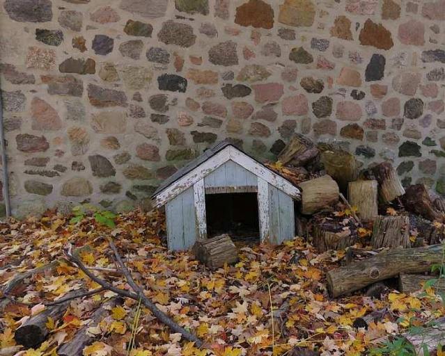 Stone Beauty  - q-Jb3.jpg