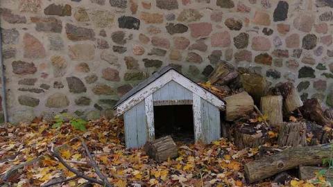 Photo from Stone Beauty 