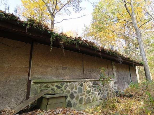 Stone Beauty  - p-Jb4.jpg