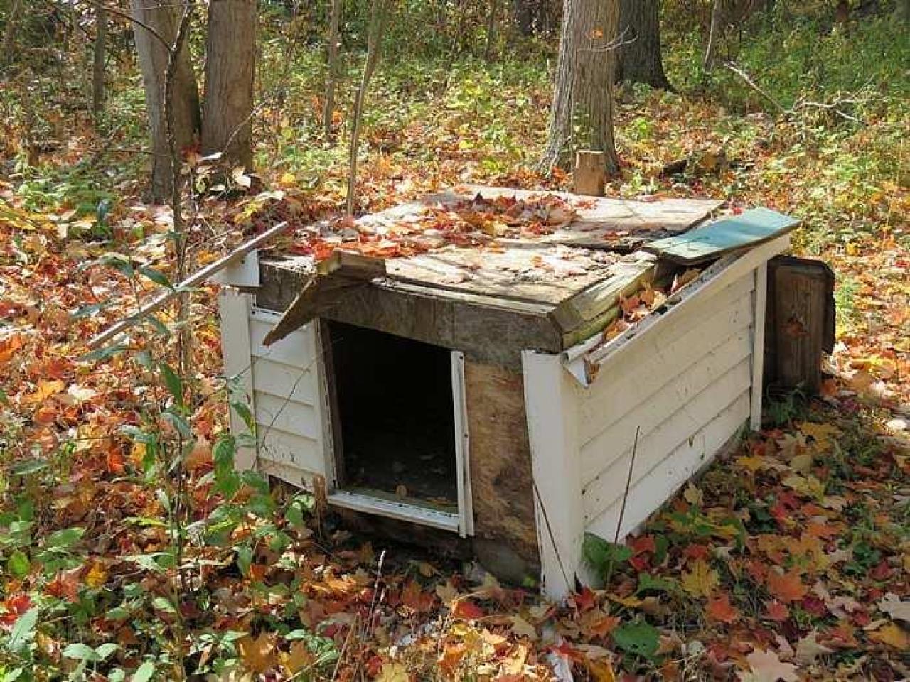 Stone Beauty  - o-Jb7.jpg