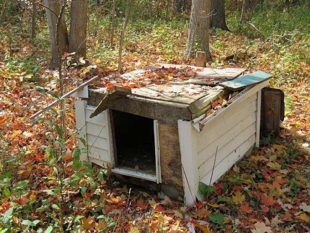 Stone Beauty  - o-Jb7.jpg