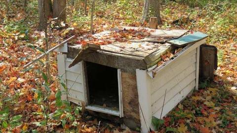 Stone Beauty  - o-Jb7.jpg