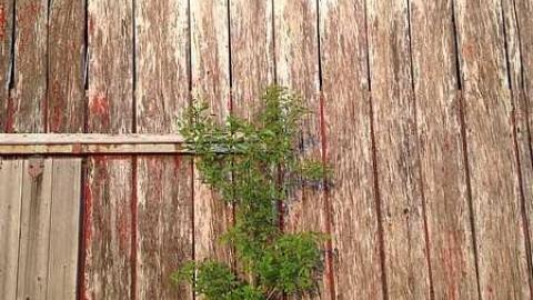 Exterior Photos! - Wholey-Barn3.jpg