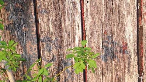 Exterior Photos! - Wholey-Barn4.jpg