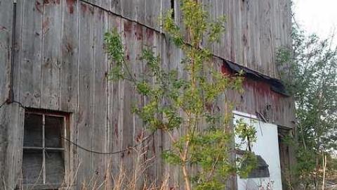 Exterior Photos! - Wholey-Barn38.jpg