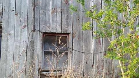 Wholey Barn photo 5