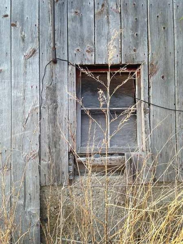 Wholey Barn photo 3