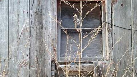 Exterior Photos! - Wholey-Barn29.jpg