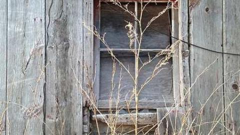 Exterior Photos! - Wholey-Barn40.jpg