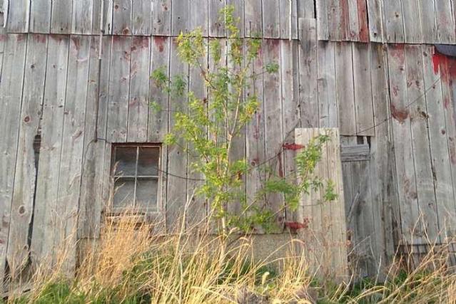 Wholey Barn photo 4